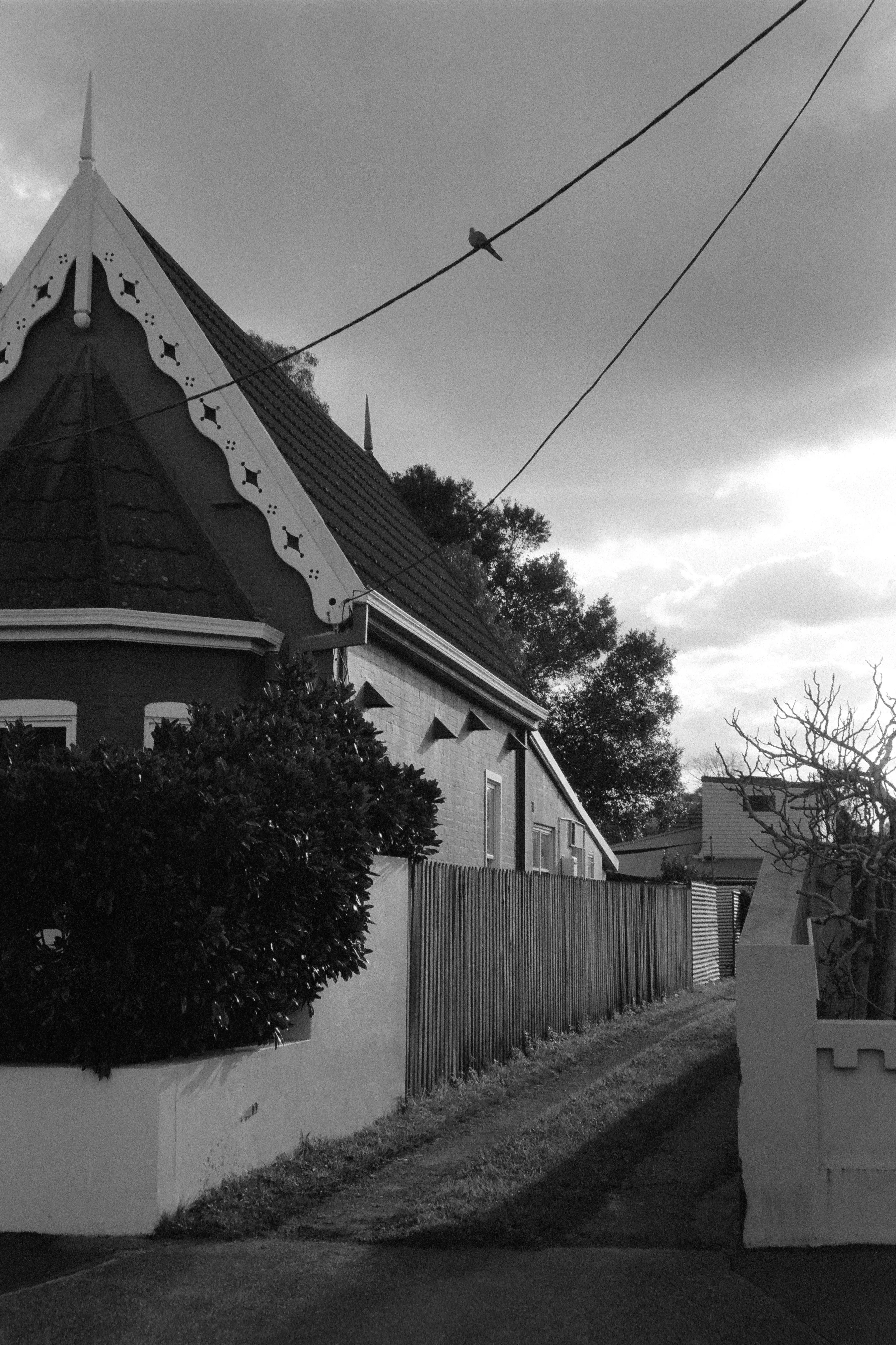 bird sitting above a house